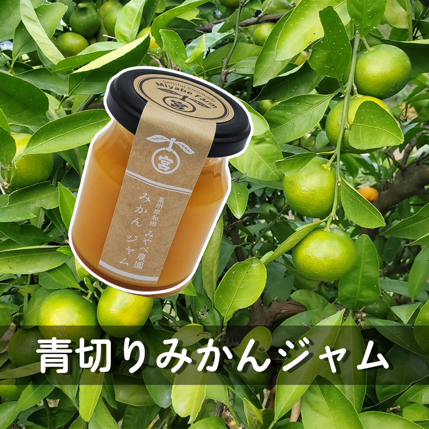 青切りみかんジャム