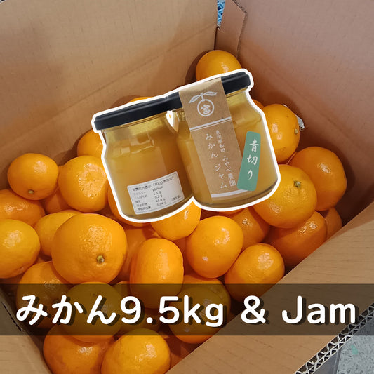 みかん9.5kgとジャム同梱セット
