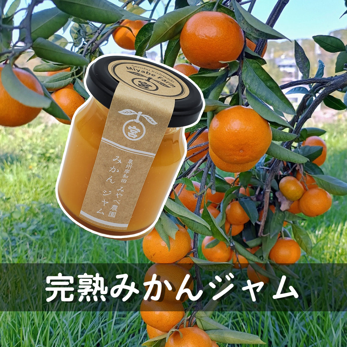 完熟みかんジャム